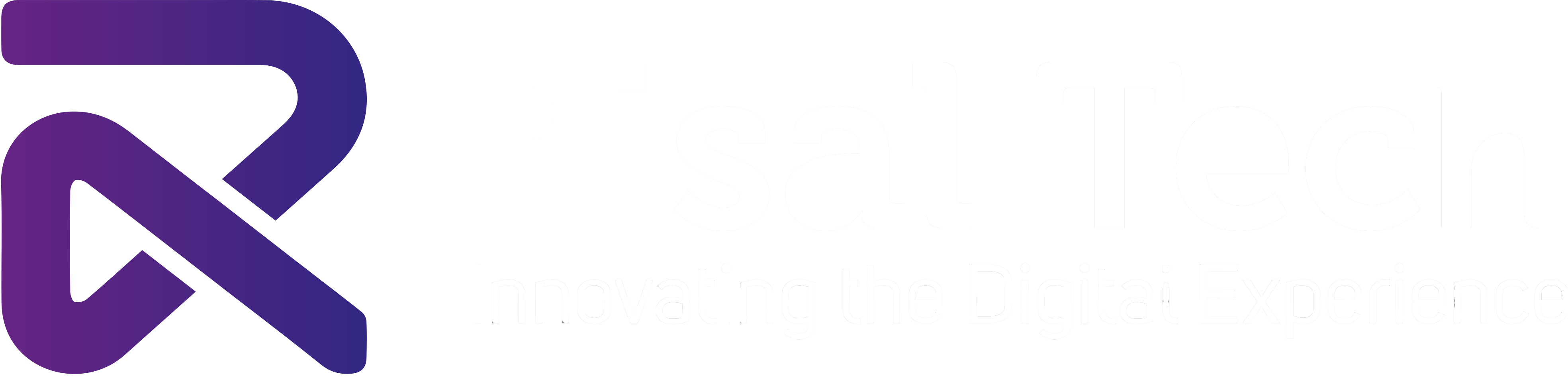 Risal Technologies Footer Logo Image